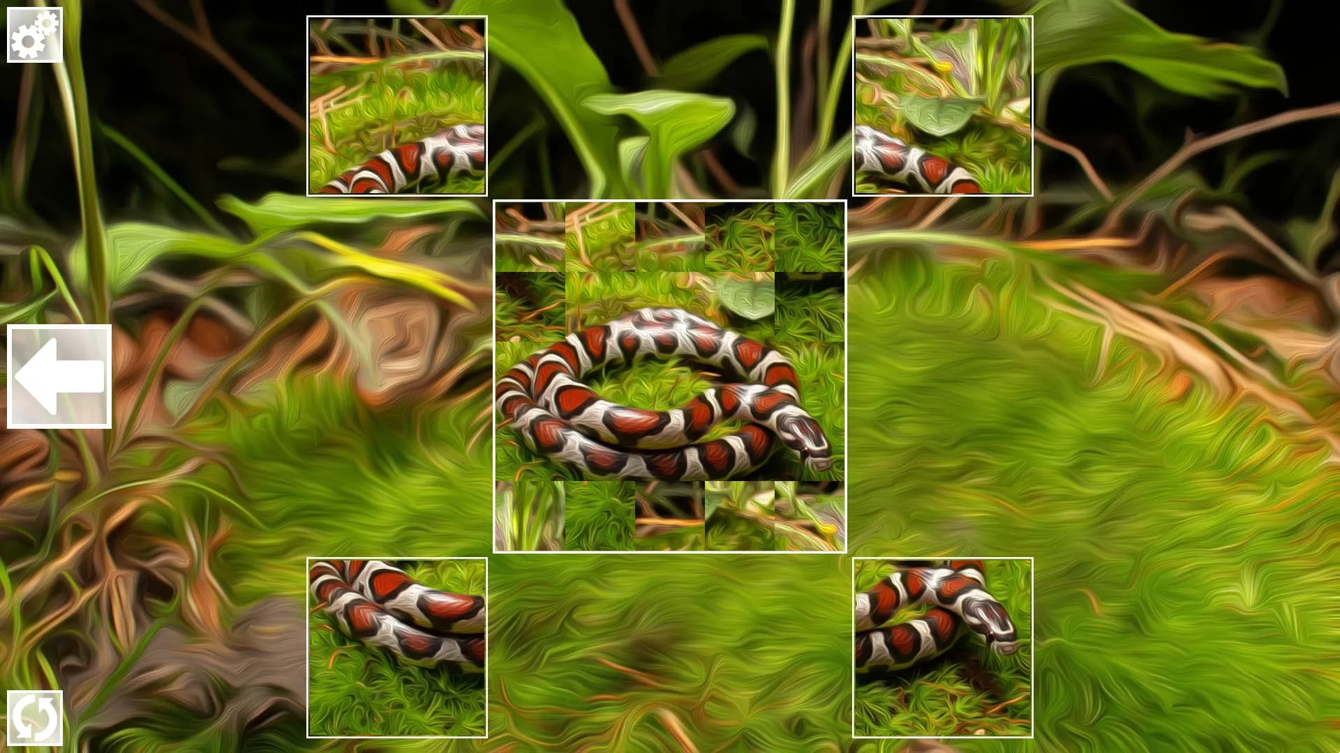 Puzzle Art: Snakes screenshot screenshot 4