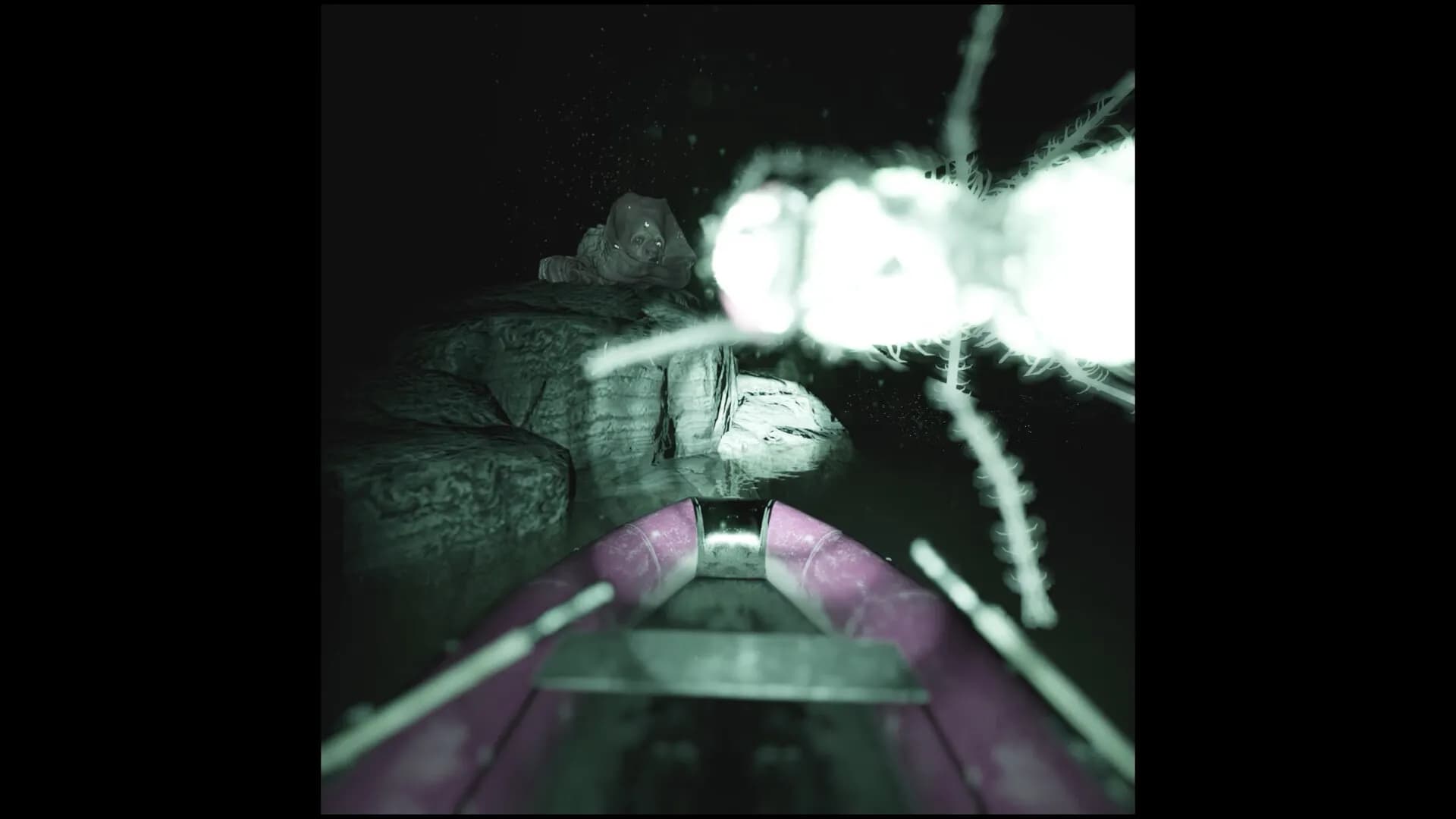 Raccoon on a boat screenshot screenshot 1