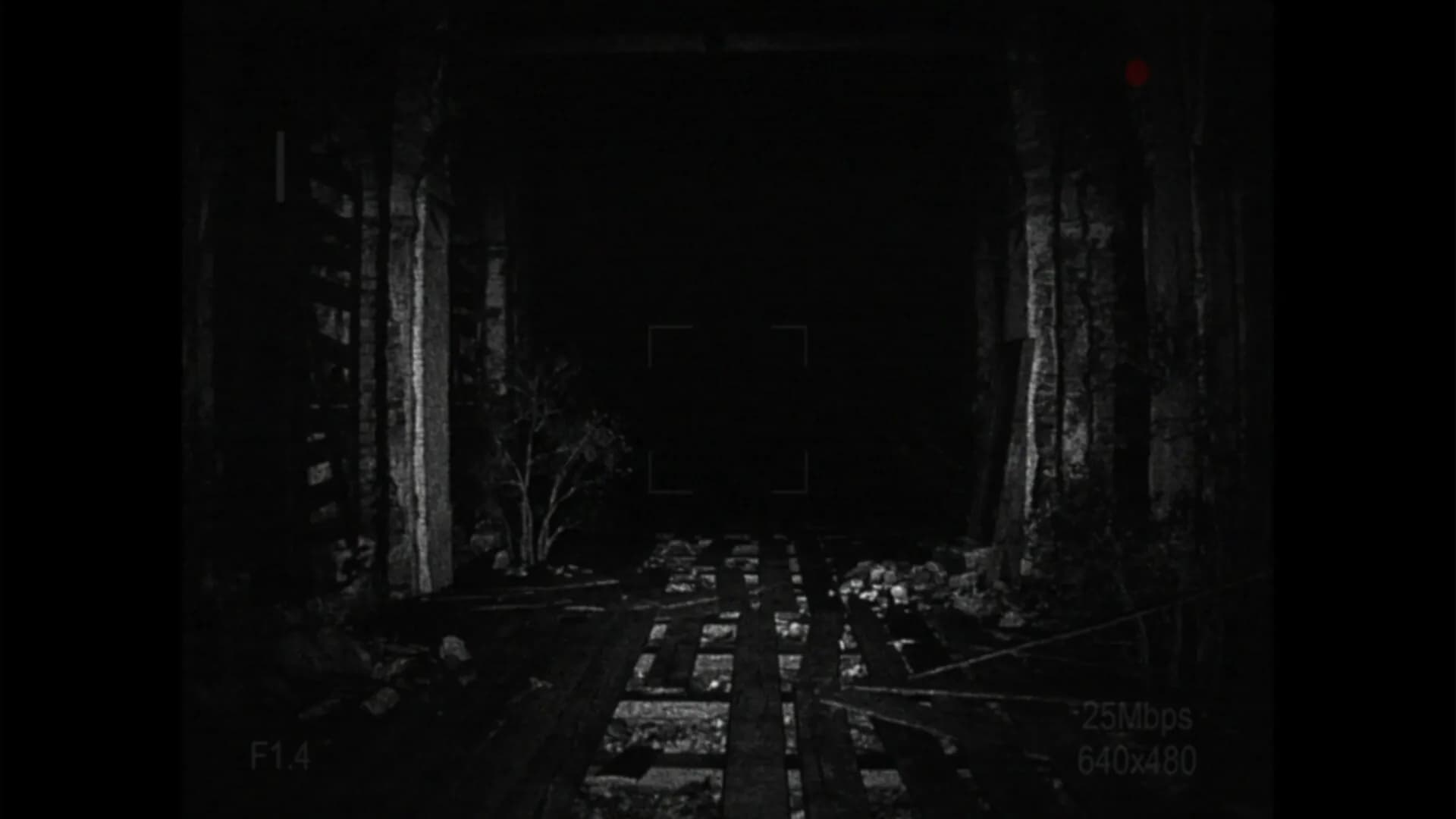 [REC] Desolation screenshot screenshot 2