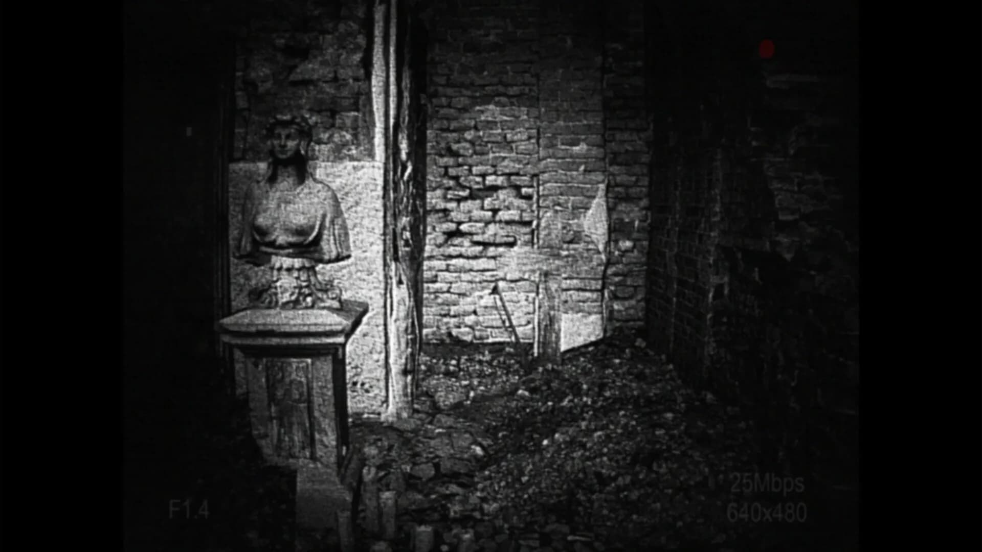 [REC] Desolation screenshot screenshot 3