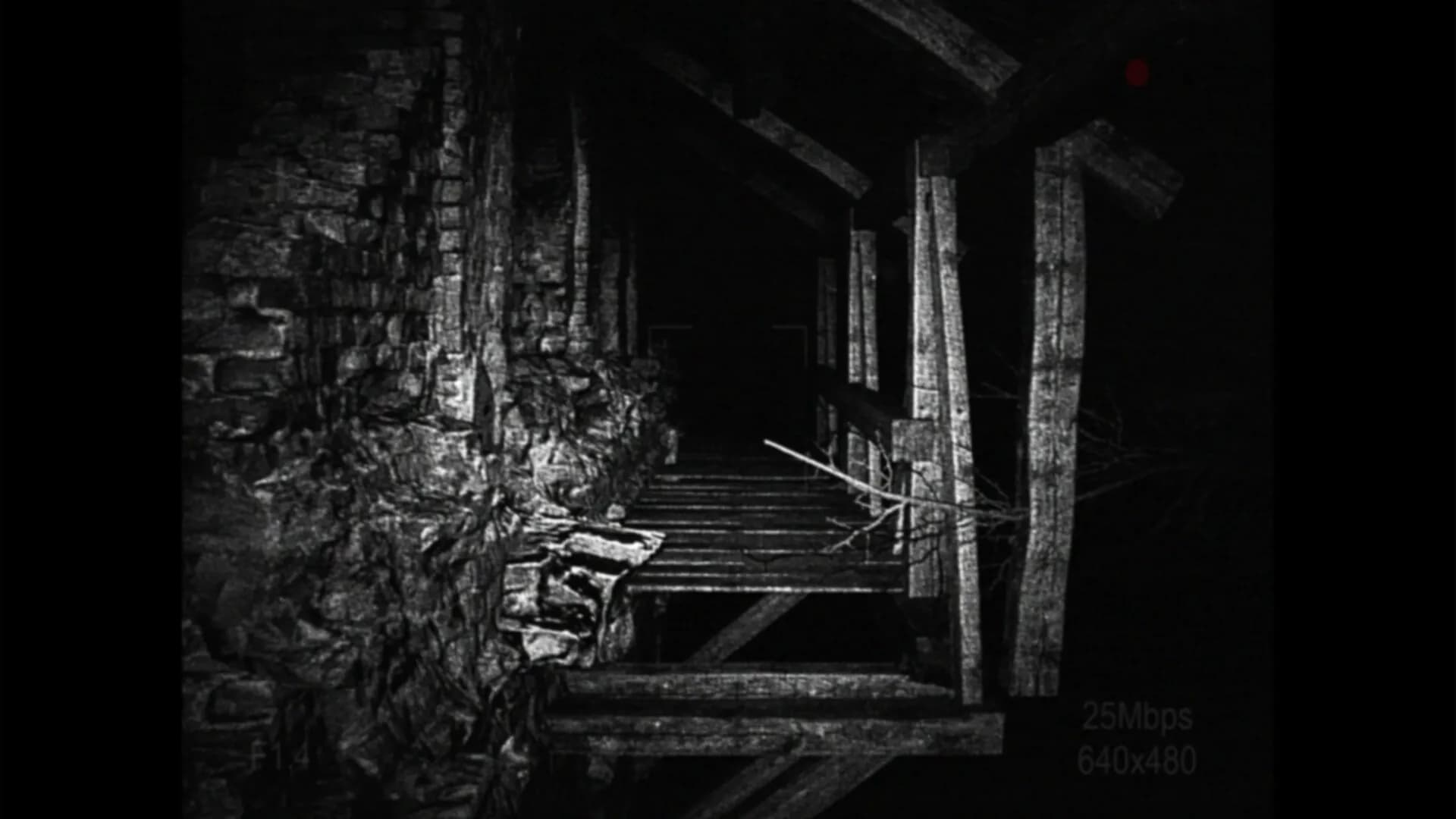 [REC] Desolation screenshot screenshot 4