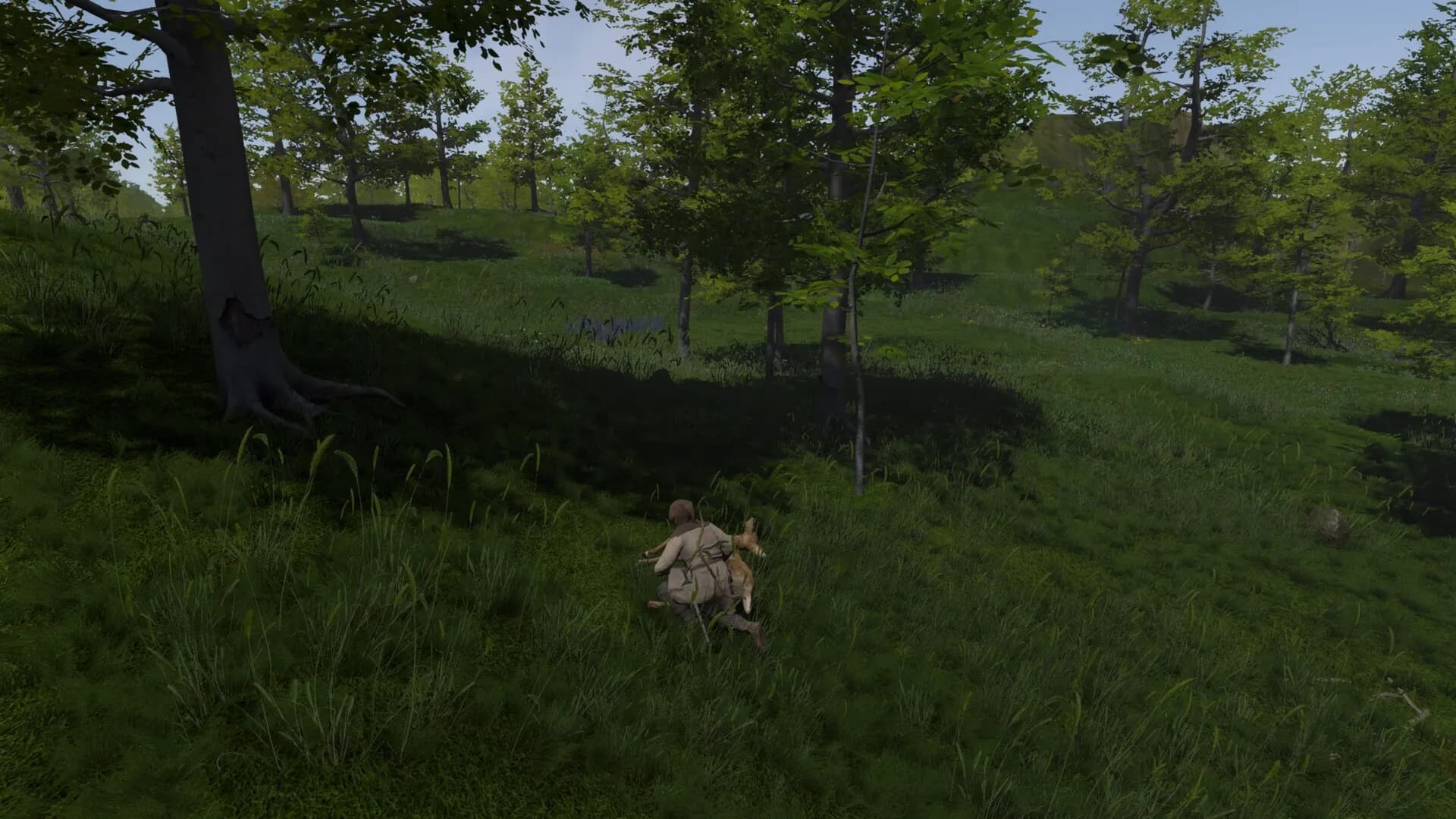SAELIG screenshot screenshot 12
