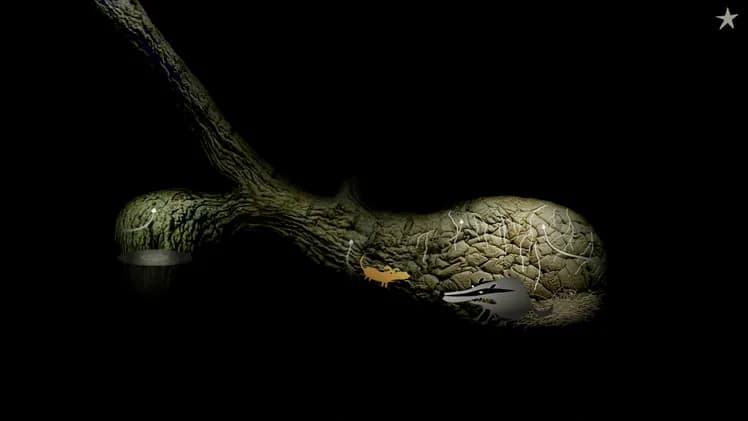 Samorost 2 screenshot screenshot 1