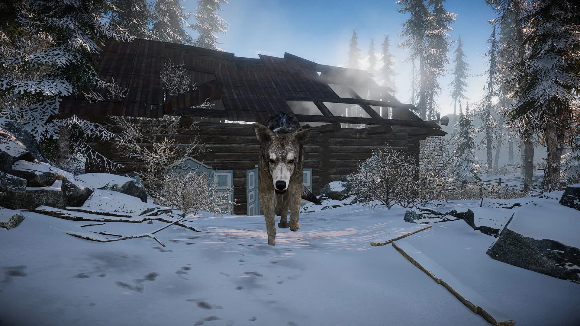 Short Snow screenshot screenshot 27