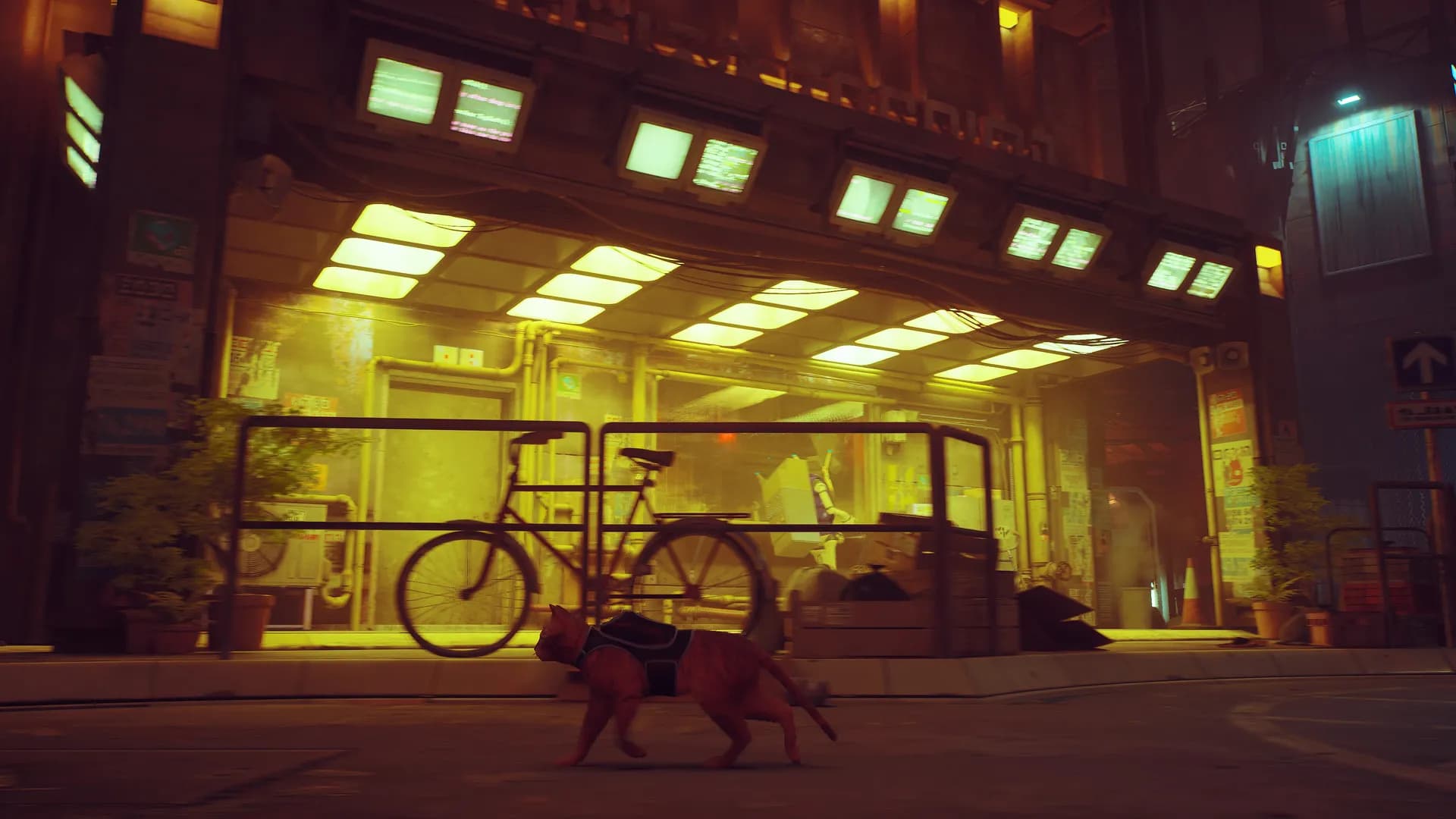 Stray screenshot screenshot 3