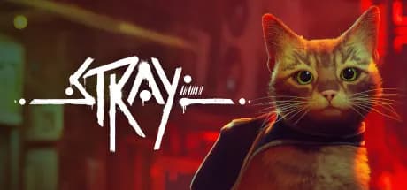 stray vertical card thumbnail