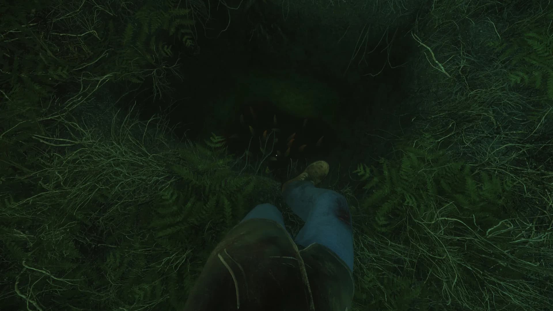 The Cursed Forest screenshot screenshot 11
