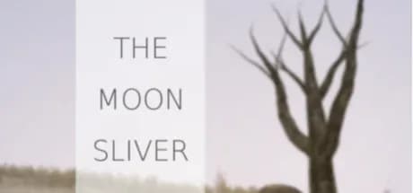 the moon sliver vertical card thumbnail