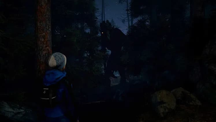 Through the Woods screenshot screenshot 8