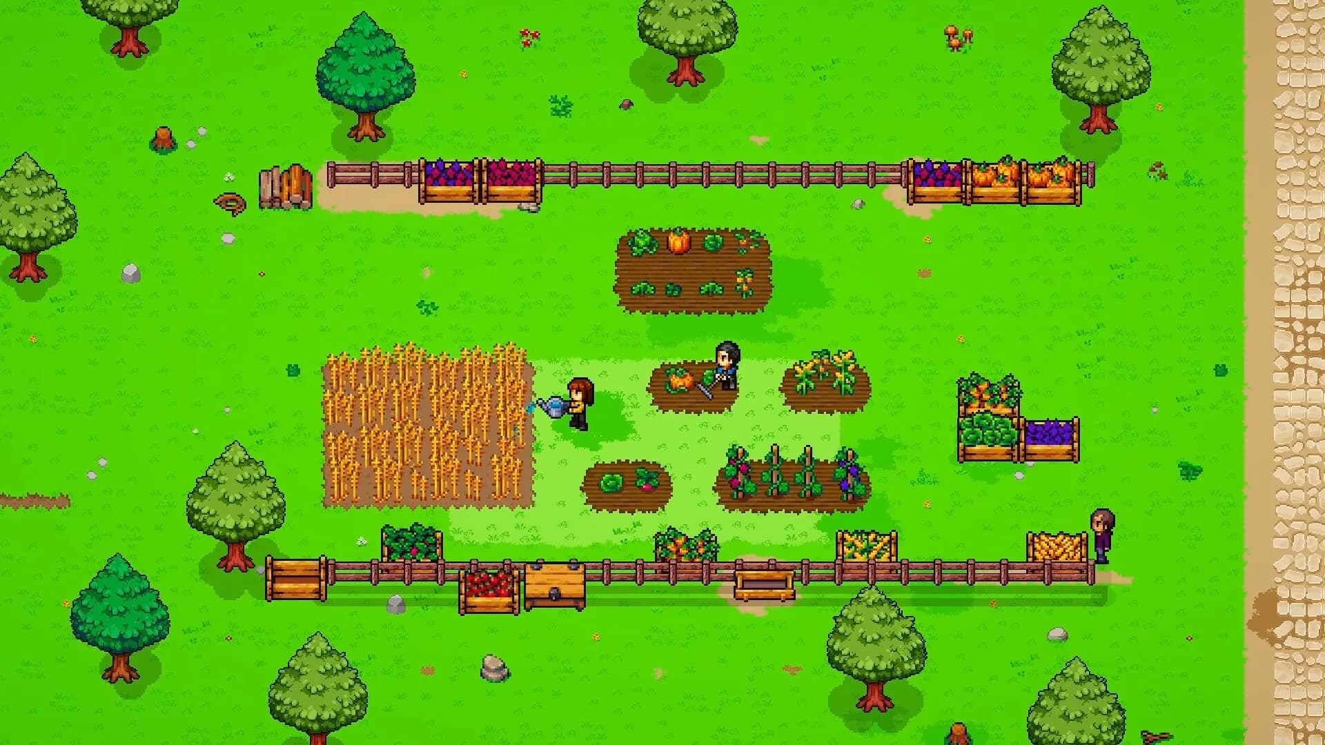 To Pixelia screenshot screenshot 19