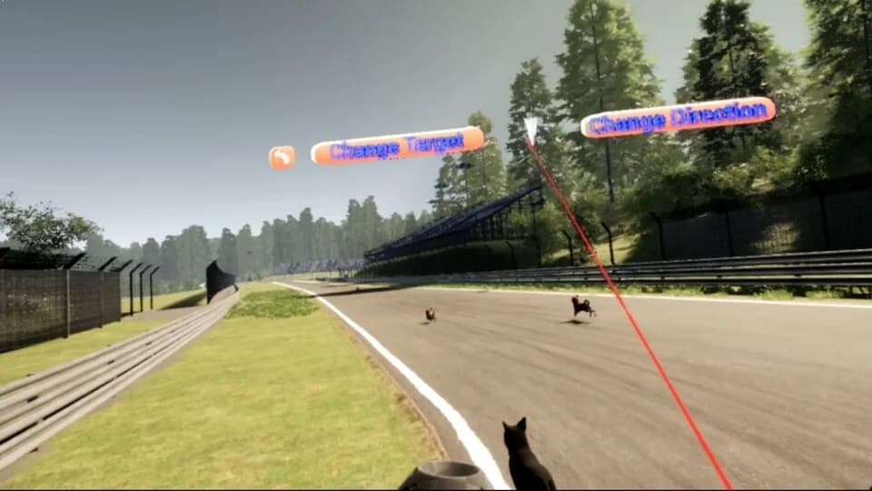 VR Dog Sprint screenshot screenshot 4