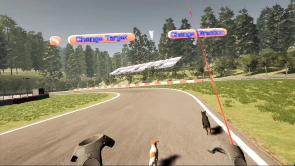 VR Dog Sprint screenshot screenshot 5