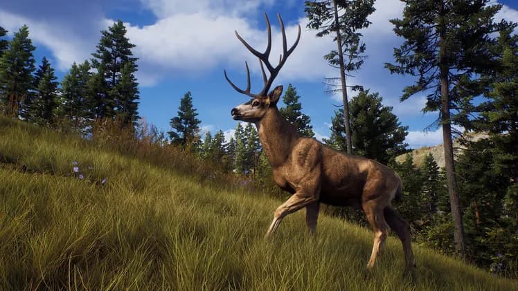 Way of the Hunter screenshot screenshot 1
