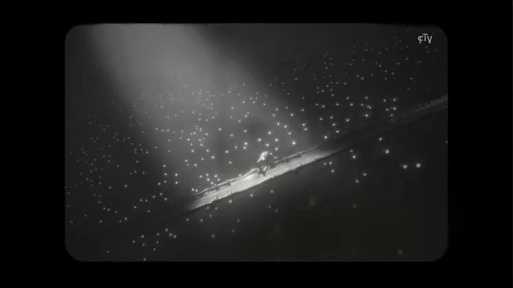 White Shadows screenshot screenshot 0