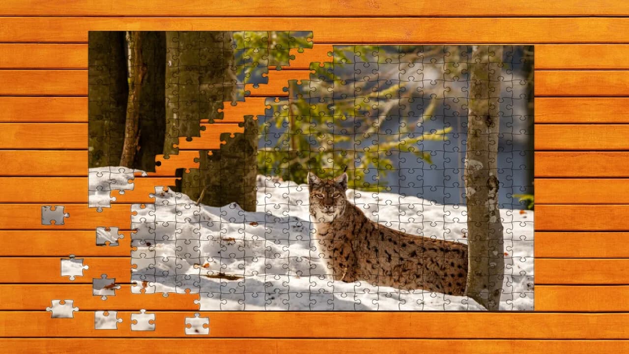 Wild Lynx Jigsaw screenshot screenshot 1