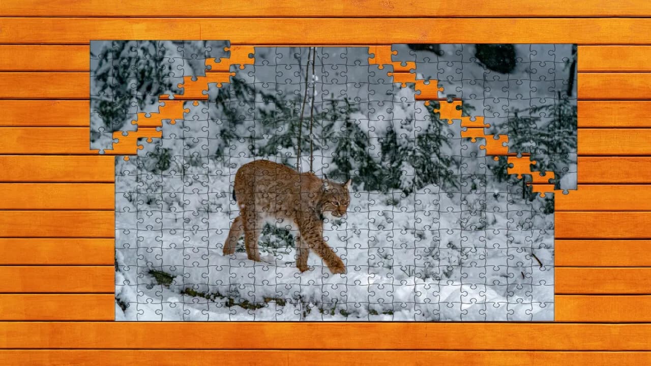 Wild Lynx Jigsaw screenshot screenshot 2