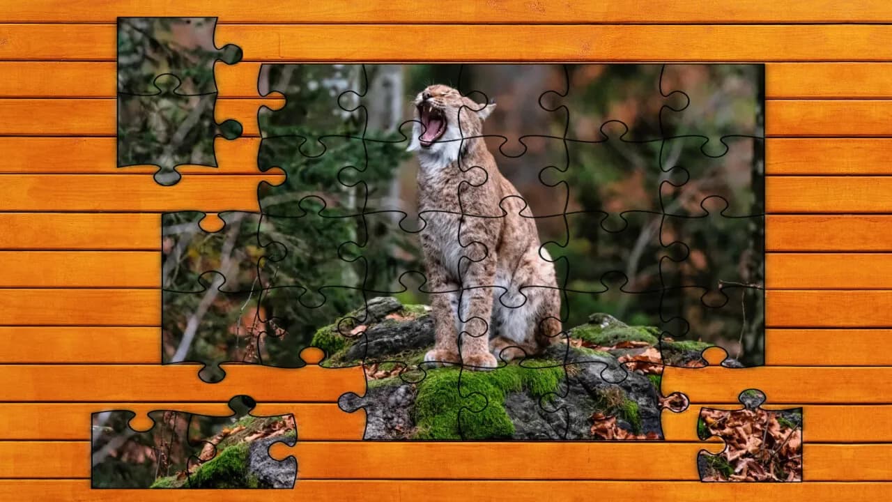 Wild Lynx Jigsaw screenshot screenshot 3