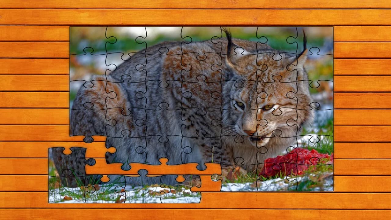 Wild Lynx Jigsaw screenshot screenshot 4
