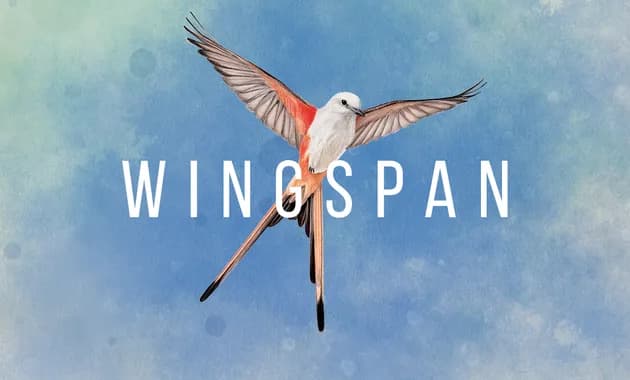 wingspan vertical card thumbnail