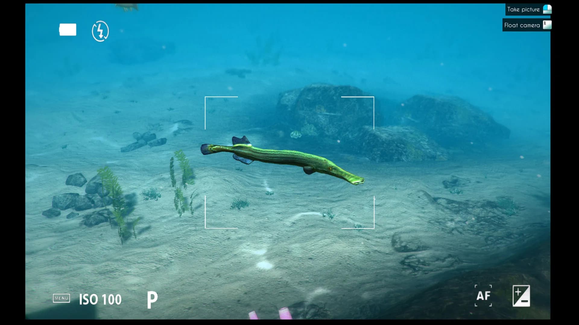 World of Diving screenshot screenshot 26