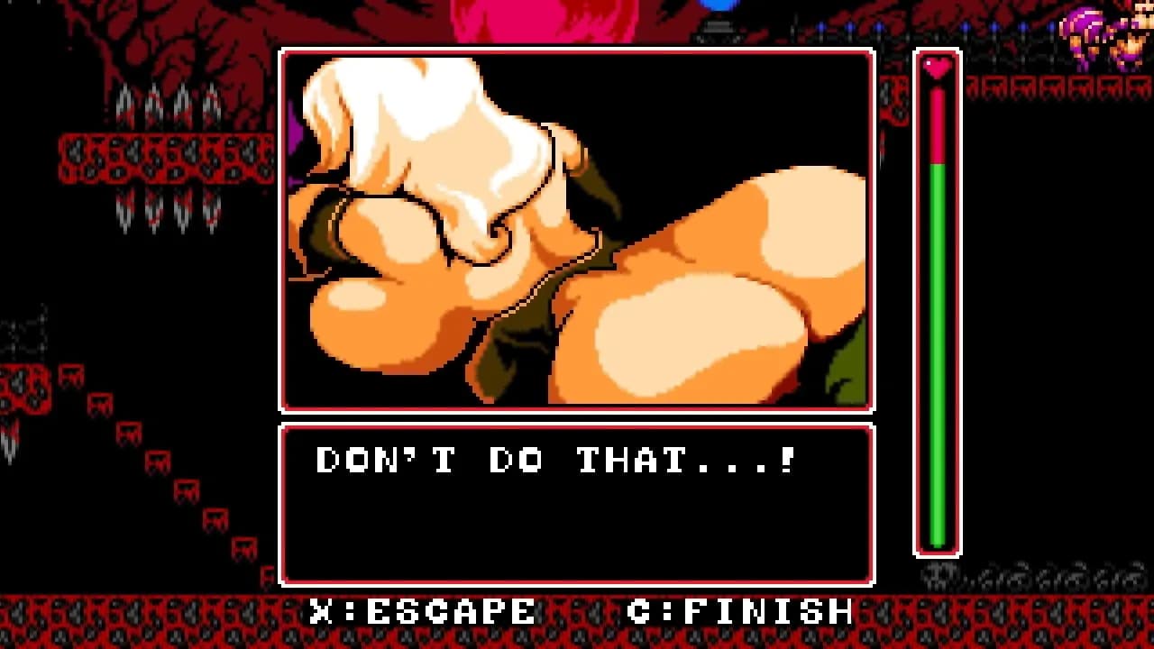 Castle in The Clouds DX screenshot screenshot 4