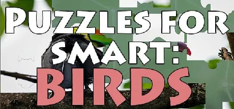 puzzles for smart: birds vertical card thumbnail